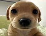 Hi friends and Hi sisters