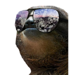 Sloth's Game studio