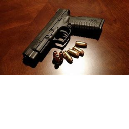 bullet fool