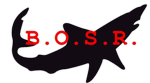 B.O.S.R.