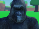 Poopoo Kingdom