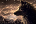 Lonely Alpha wolves