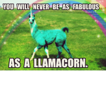 llama fans :D