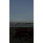 Exotic_dreams<3