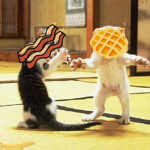 bacon and waffles