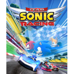 Car races