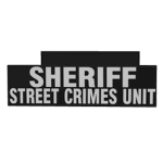 FLORIDA major CRIMES UNIT
