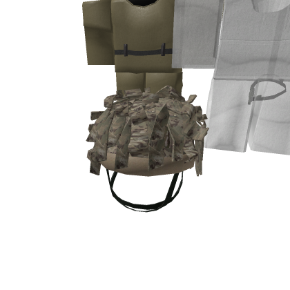 Helmet22