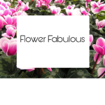 Flower Fabulous