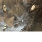 Toby is weird