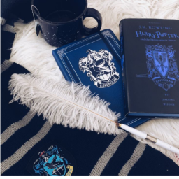 💙🩶