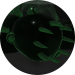 Incredibly Long Worm!