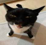 On Discount Group Thumbnail