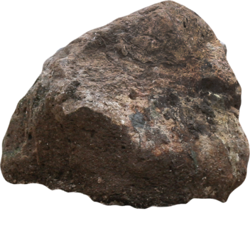 Survival the rock the killer