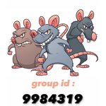 Las ratitas bonitas