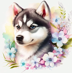 Huskyberries
