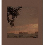 Peachy.storees