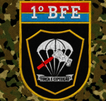 [ BFE ] Batalhão de Forças Especiais.