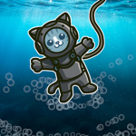 Aquatic Cats