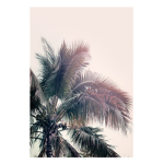 Official palm tree squad