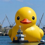 the duck people's