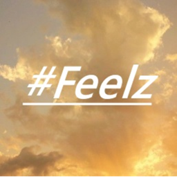 #Feelz Clothing Store