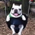 SSAMPPONG GAMES