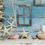 Sunset Seashells