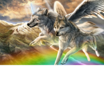 The wolf pack club