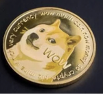 Doge is doge