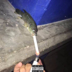 Team Fishermen