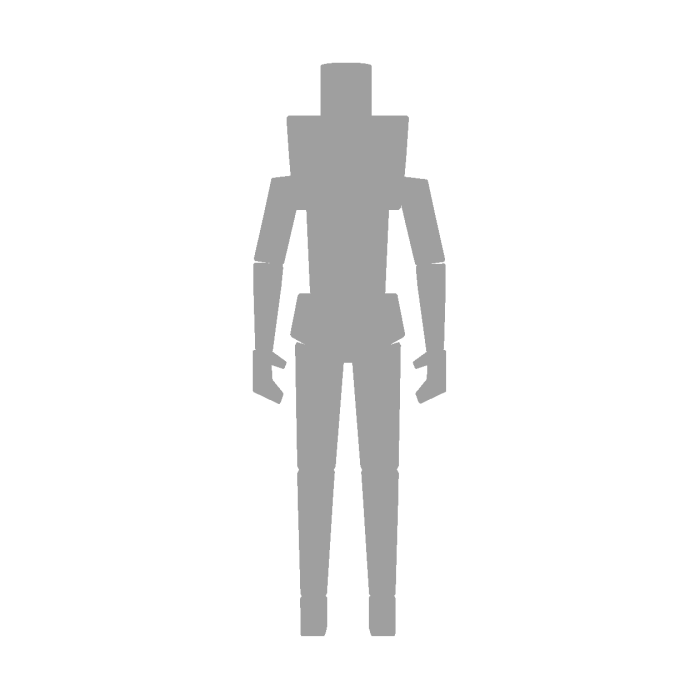Wall Clip (WORKS EVERY GAME)
