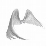 Wing squad . Original