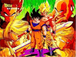 DBZ fan people