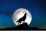 Wolfs Fantasy World