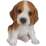 dog fam only dog fans can join