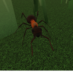 Ant Life