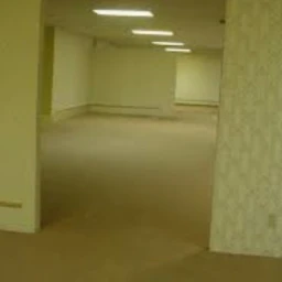 The Backrooms icon