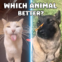 Which Animal Better?
