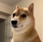 pro scp gamers Group Thumbnail