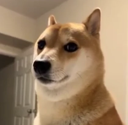 pro scp gamers Roblox group icon