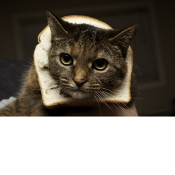 bread cat inc.