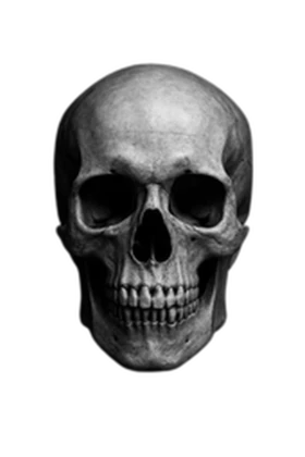 ÄNTI- CØMP Roblox group icon