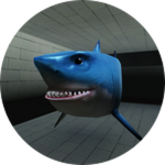 Bruce Encounter 