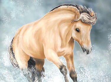 ~Sunny Meadows Horse Rescue Center~