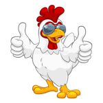 THE CHICKEN Fan Army