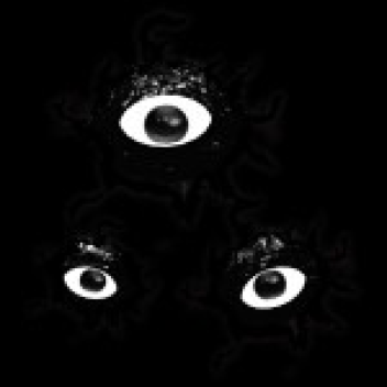 🛠️🛠️🛠️D TESTING