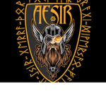 The Aesir Cult