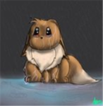 lost/wild eevee group