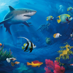 Ocean animal's